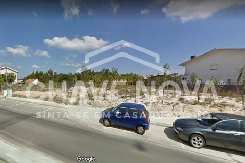 Terra a Oliveira do Bairro, Aveiro, Oliveira do Bairro - € 51.920 | Ref: AVR/00102 - foto 2