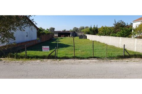 Helårsgrund i Riachos, Santarem, Riachos - € 45.000 | Ref: TER_95 - foto 2