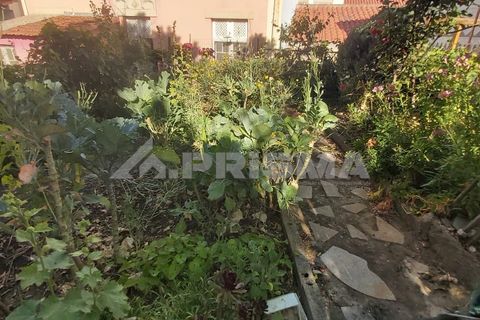 Byhus i Castelo Branco, Castelo Branco, Castelo Branco - € 265.000 | Ref: PP3901 - foto 11