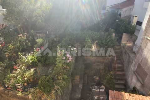 Byhus i Castelo Branco, Castelo Branco, Castelo Branco - € 265.000 | Ref: PP3901 - foto 12