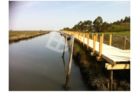 Helårsgrund i Aveiro, Aveiro, Aveiro - € 195.000 | Ref: 3895 LT 11 - foto 10