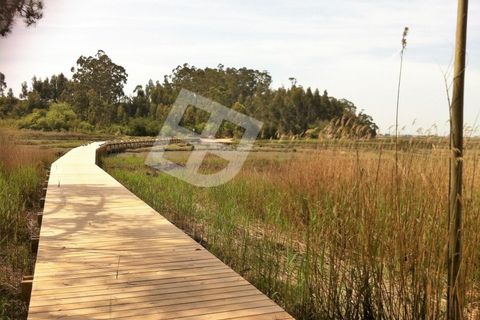 Helårsgrund i Aveiro, Aveiro, Aveiro - € 195.000 | Ref: 3895 LT 11 - foto 12