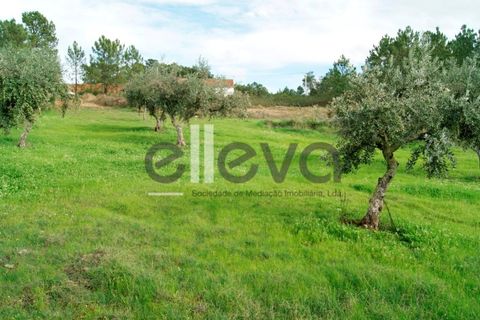 Helårsgrund i Castelo Branco, Castelo Branco, Castelo Branco - € 25.000 | Ref: 3603 - foto 2
