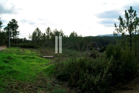 Helårsgrund i Castelo Branco, Castelo Branco, Castelo Branco - € 25.000 | Ref: 3603 - foto 5