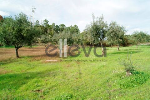 Helårsgrund i Castelo Branco, Castelo Branco, Castelo Branco - € 25.000 | Ref: 3603 - foto 1