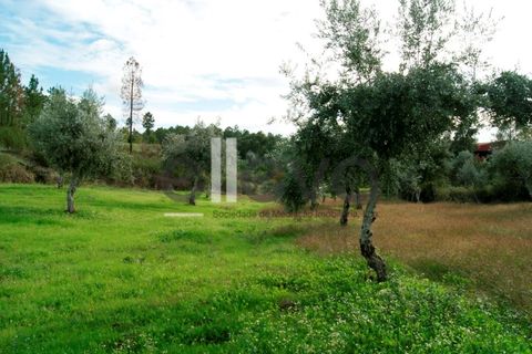 Helårsgrund i Castelo Branco, Castelo Branco, Castelo Branco - € 25.000 | Ref: 3603 - foto 4