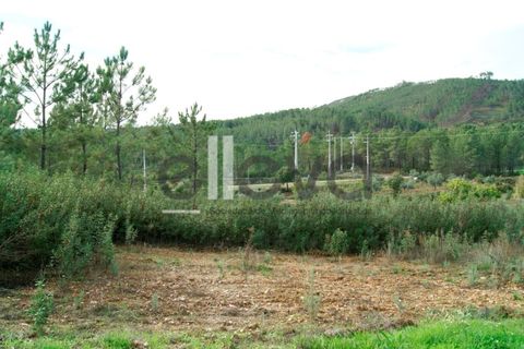 Helårsgrund i Castelo Branco, Castelo Branco, Castelo Branco - € 25.000 | Ref: 3603 - foto 8