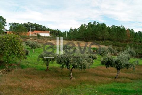 Helårsgrund i Castelo Branco, Castelo Branco, Castelo Branco - € 25.000 | Ref: 3603 - foto 10