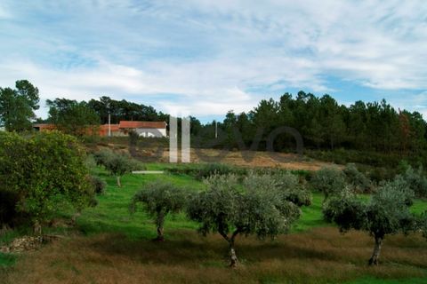 Helårsgrund i Castelo Branco, Castelo Branco, Castelo Branco - € 25.000 | Ref: 3603 - foto 11