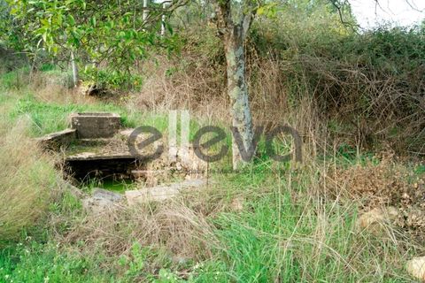 Helårsgrund i Castelo Branco, Castelo Branco, Castelo Branco - € 25.000 | Ref: 3603 - foto 13