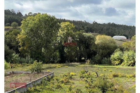 Helårsgrund i Leiria, Leiria, Leiria - € 170.000 | Ref: TPH225-06 - foto 1
