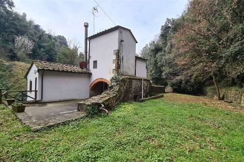 Landejendom i Vinci, Florence, Vinci - € 430.000 | Ref: CS29 - foto 2