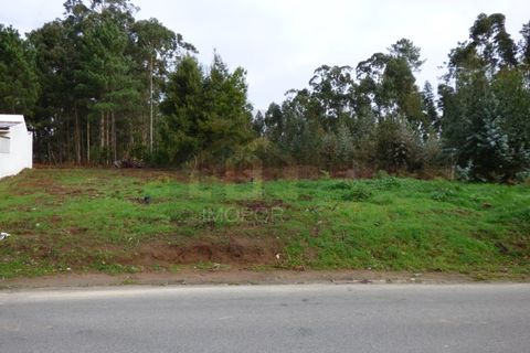 Tomt i Silvalde, Aveiro, Silvalde - € 60 000 | Ref: TER_297 - foto 2