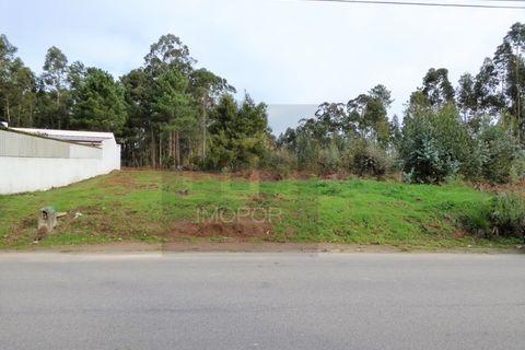 Tomt i Silvalde, Aveiro, Silvalde - € 60 000 | Ref: TER_297 - foto 3