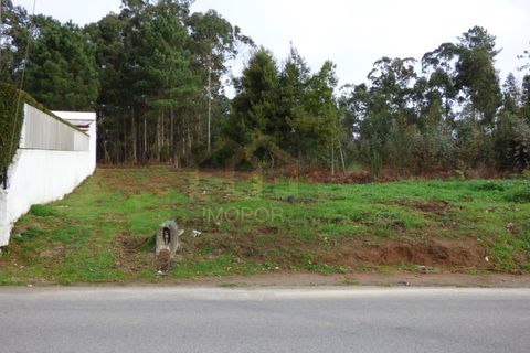 Tomt i Silvalde, Aveiro, Silvalde - € 60 000 | Ref: TER_297 - foto 5