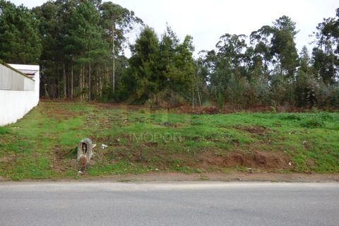 Tomt i Silvalde, Aveiro, Silvalde - € 60 000 | Ref: TER_297 - foto 6