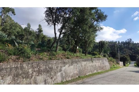 Terra a Gandra e Taiao, Viana do Castelo, Gandra e Taiao - € 45.000 | Ref: VLC0130T - foto 3