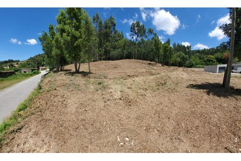 Terra a Gandra e Taiao, Viana do Castelo, Gandra e Taiao - € 45.000 | Ref: VLC0130T - foto 4