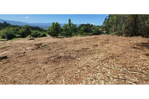 Terra a Gandra e Taiao, Viana do Castelo, Gandra e Taiao - € 45.000 | Ref: VLC0130T - foto 6