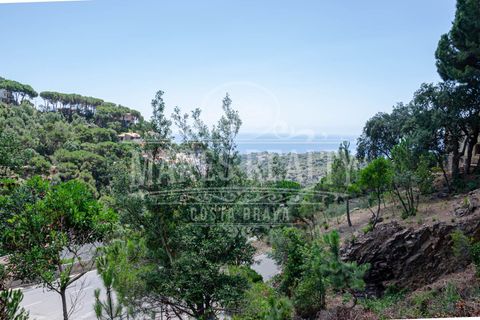 Helårsgrund i Lloret De Mar, Gerona, Lloret De Mar - € 85.000 | Ref: 226T - foto 7