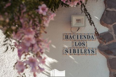 Erhvervsejendom i Lorca, Murcia, Lorca - € 625.000 | Ref: A1301 - foto 30