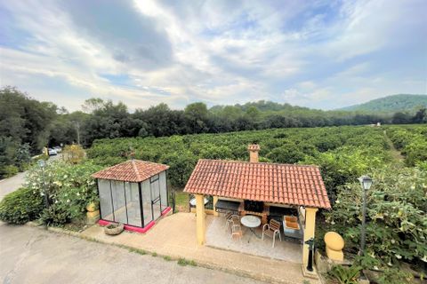 Landejendom i Sa Pobla, Mallorca, Sa Pobla - € 1.300.000 | Ref: 75592 - foto 2