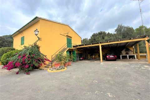 Landejendom i Sa Pobla, Mallorca, Sa Pobla - € 1.300.000 | Ref: 75592 - foto 3