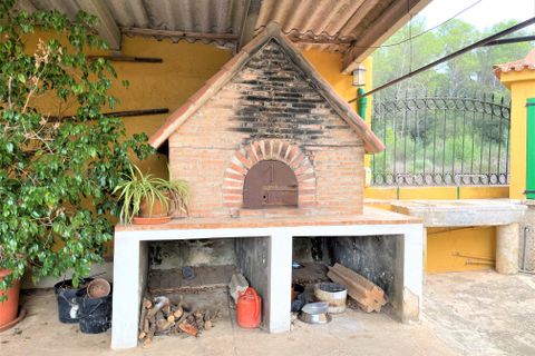 Landejendom i Sa Pobla, Mallorca, Sa Pobla - € 1.300.000 | Ref: 75592 - foto 14