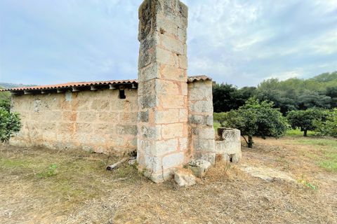 Landejendom i Sa Pobla, Mallorca, Sa Pobla - € 1.300.000 | Ref: 75592 - foto 18