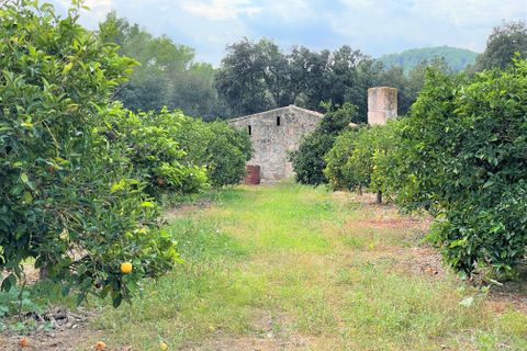 Landejendom i Sa Pobla, Mallorca, Sa Pobla - € 1.300.000 | Ref: 75592 - foto 20
