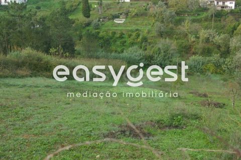 Helårsgrund i Coimbra, Coimbra, Coimbra - € 180.000 | Ref: RR90483 - foto 4