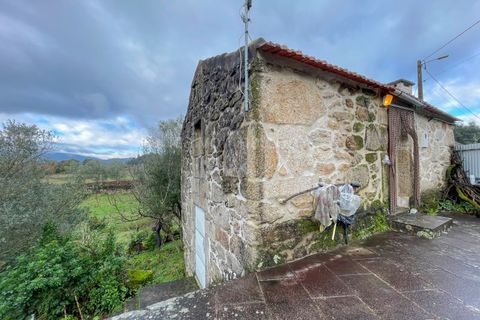 Farm i Ceivaes e Badim, Viana do Castelo, Ceivaes e Badim - € 80.000 | Ref: 2155 - foto 3
