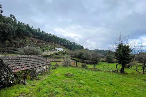 Farm i Ceivaes e Badim, Viana do Castelo, Ceivaes e Badim - € 80.000 | Ref: 2155 - foto 7