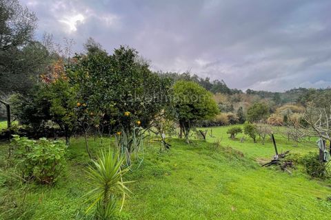 Farm i Ceivaes e Badim, Viana do Castelo, Ceivaes e Badim - € 80.000 | Ref: 2155 - foto 12