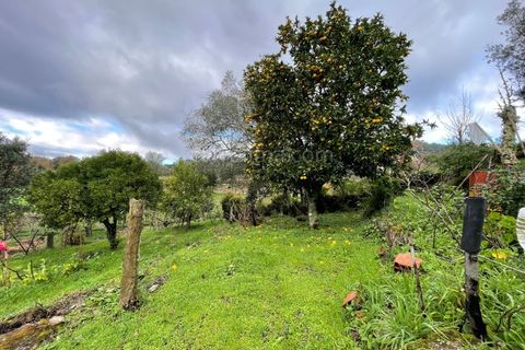 Farm i Ceivaes e Badim, Viana do Castelo, Ceivaes e Badim - € 80.000 | Ref: 2155 - foto 13