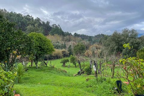 Farm i Ceivaes e Badim, Viana do Castelo, Ceivaes e Badim - € 80.000 | Ref: 2155 - foto 14