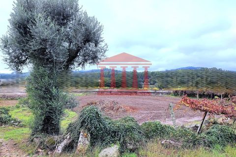 Helårsgrund i Guimaraes, Braga, Guimaraes - € 135.000 | Ref: 272T00933 - foto 4