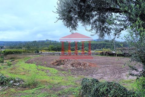 Helårsgrund i Guimaraes, Braga, Guimaraes - € 135.000 | Ref: 272T00933 - foto 5