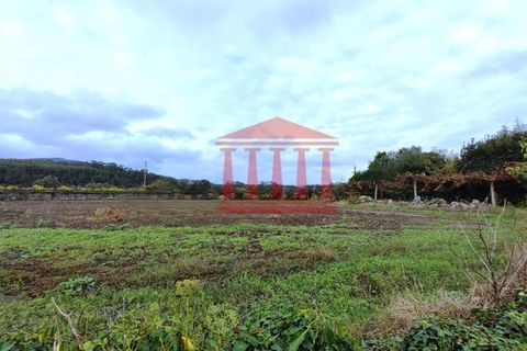 Helårsgrund i Guimaraes, Braga, Guimaraes - € 135.000 | Ref: 272T00933 - foto 9