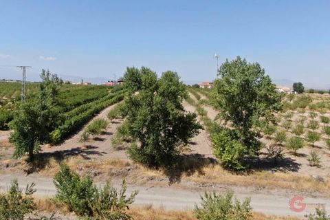 Villa en Gor, Granada, Gor - € 975.000 | Ref: J651 - photo 8