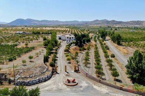 Villa en Gor, Granada, Gor - € 975.000 | Ref: J651 - photo 10