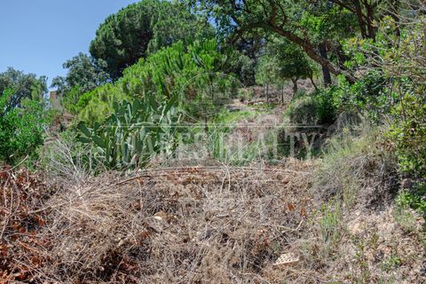Helårsgrund i Lloret De Mar, Gerona, Lloret De Mar - € 125.000 | Ref: 227T - foto 5