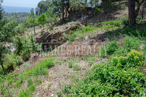 Helårsgrund i Lloret De Mar, Gerona, Lloret De Mar - € 125.000 | Ref: 227T - foto 9