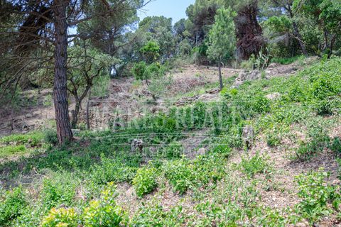Helårsgrund i Lloret De Mar, Gerona, Lloret De Mar - € 125.000 | Ref: 227T - foto 10