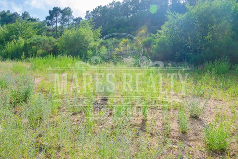 Helårsgrund i Lloret De Mar, Gerona, Lloret De Mar - € 55.000 | Ref: 204T - foto 5