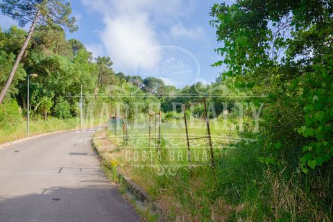Helårsgrund i Lloret De Mar, Gerona, Lloret De Mar - € 55.000 | Ref: 204T - foto 8