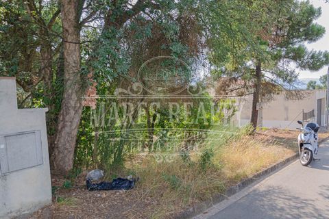 Terra a Lloret De Mar, Gerona, Lloret De Mar - € 55.000 | Ref: 253T - foto 1