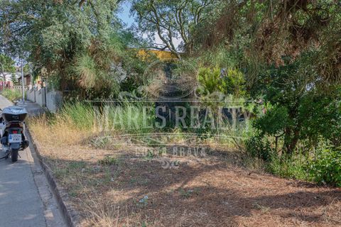 Terra a Lloret De Mar, Gerona, Lloret De Mar - € 55.000 | Ref: 253T - foto 3