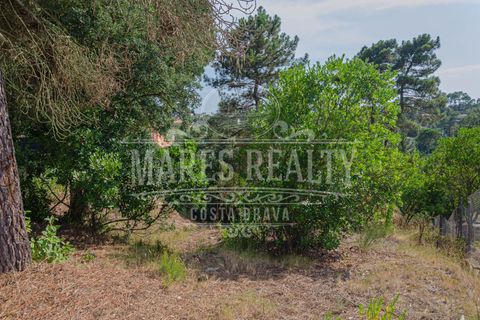Terra a Lloret De Mar, Gerona, Lloret De Mar - € 55.000 | Ref: 253T - foto 4