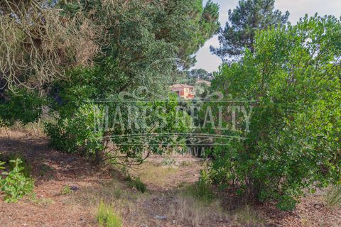 Terra a Lloret De Mar, Gerona, Lloret De Mar - € 55.000 | Ref: 253T - foto 6